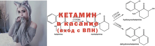 молекула духа Вяземский