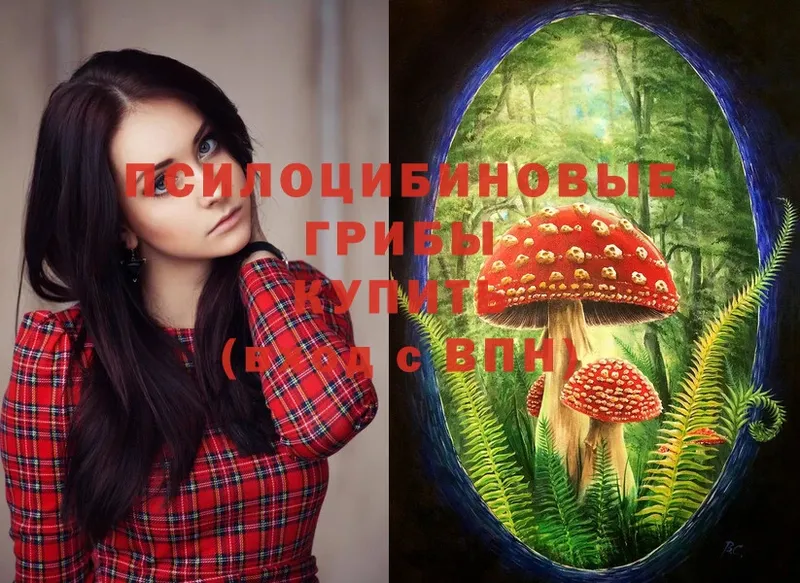 Псилоцибиновые грибы MAGIC MUSHROOMS  Нюрба 